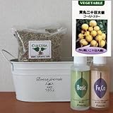 黄丸二十日大根（ゴールドスター）の栽培セット/豊作セット（液体肥料付き）プランターホワイト仕様