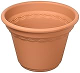 アイリスオーヤマ 鉢 コルティポット 6号 テラコッタブラウン