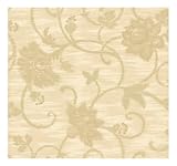 York Wallcoverings ad8141smp VerandaフローラルJacobean 8-inch X 10-inch壁紙メモ型サンプル
