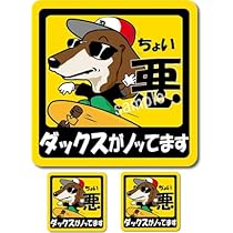 ダックスです 今からダックス50を BASの神戸デポに持ち込みに行きます