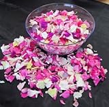 JA静岡経済連 フラワーシャワーセット（カーネーション） 伊豆太陽の花