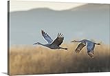 Maresa Pryorプレミアムシックラップキャンバス壁アート印刷題名Sandhill Cranes Flying、Bosque del Apache国立野生生物Refuge、新しいメキシコ 48"