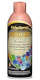 Champion 4109 Color Ultimate Decorating Spray Enamel, Satin Coral (Pack of 6) [並行輸入品]