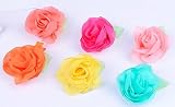 ベビー キッズ ヘアクリップ お花 6色セットヘアーアクセサリー 子供 髪飾り クリップ 髪留め パーティー プリンセス 誕生日 パーティ ヘアー (12個セット)