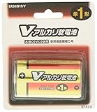 アルカリ単1/B1P/V LR20/B1P/V