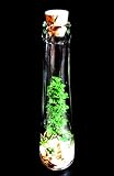 観葉植物　アクアリウム　アーテフィシャルフラワー　ウォータープランツ　水草　フェイクグリーン　緑　貝殻　シェル　ガラスボトル　アクリルウォーター　造花