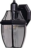 Maxim Lighting 4010CLBU One Light Burnished Glass Wall Lantern, Black [並行輸入品]
