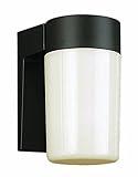 Transglobe Lighting 4810 BK Outdoor Wall Light with Opal Glass Shade, Black Finished [並行輸入品]