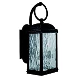 Sea Gull Lighting 88191-802 Branford Outdoor Wall Sconce, Obsidian Mist [並行輸入品]