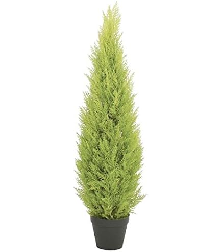 光触媒　人工観葉植物　ウォールグリーン　フェイクグリーン　ゴールドクレスト100 Amazon｜人工観葉植物 フェイクグリーン ゴールドクレストミニ