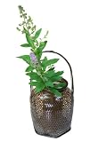 竹製花籠「花散里(はなちるさと)」