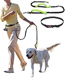両手がフリー 犬 リード 伸縮 中型犬 大型犬 肩掛け 反射 腰ベルト 小型犬 犬リード 犬用 散歩 伸びる ショルダー 光る (グリーン)