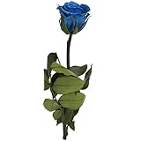 ギフトに最適　 枯れないお花プリザーブドローズ　１輪グランブルー　花言葉　奇跡　夢