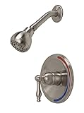 Premier 120140 Wellington Single-Handle Shower Faucet, Brushed Nickel [並行輸入品]