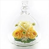 アートフォーシーズン ベアーアイ (イエロー　グリーン発光)　”光るバラ”　ホタル プリザーブドフラワー