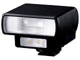 パナソニック (Panasonic) フラッシュライト DMW-FL200L