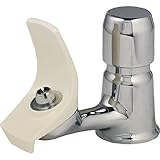 Elkay LK1141A Classroom Bubbler Assembly, Chrome [並行輸入品]