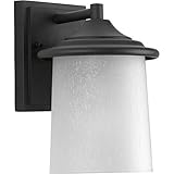 Progress Lighting p6059 Essentialアウトドア壁取り付け用燭台with 1ライト – 9 " Tall , 6" P6059-31 1