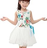 Fairy Wings DRESS ベビー・ガールズ カラー: ホワイト