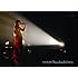 安藤裕子「TOUR 2008 "Encyclopedia." FINAL」