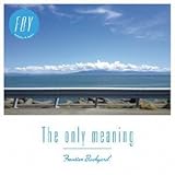 The only meaning-初回限定7inch-