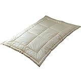 日本製 洗える ダクロン クォロフィル・アクア 肌掛け布団 ベビー 80×120 軽量 アレルギー対応 No.8 インビスタ社