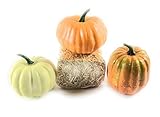 Pumpkins and Straw Bale for Fall秋またはハロウィンホームdecor-bundleの4アイテム