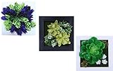 【La Bella】 ウォールグリーン 壁掛け 観葉植物 フェイクグリーン 人工 植物 造花 緑 インテリア (3個セットC)