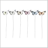 インテリア メッセージカード ガーデニング ガーデン 雑貨 ピック アクセント バタフライ 蝶 かわいい FEATHER BUTTERFLY PICK PASTEL 6pSET