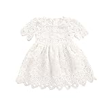 菲服 子供服 女の子 半袖レースドレス ホワイト（70-100CM） (80)
