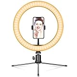 LEDリングライト自撮りライト 三脚 撮影照明用ライト26cm/10インチ 【2020最新版】 3モード 10段階調光USB卓上スタンド B