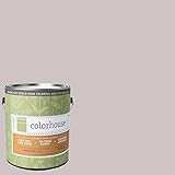 Inspired Flat Interior Paint, Air .07, Gallon [並行輸入品]