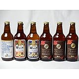 クラフトビールパーティ6本セット プラチナエール330ml 金しゃちピルスナー330ml 金しゃちアルト330ml IPA感謝ビール330ml×3本