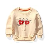 子供用　　トップス　　セーター　　赤ちゃん服　　女の子　　ガール　　かわいい　　プリント　　花柄　上品　　プレゼント (120, ベージュ)