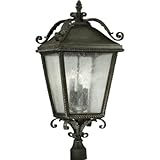 Quorum Lighting - 7912-4-43 [並行輸入品]