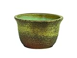 窯肌ひねりめだか鉢　11号　＃しがらき焼 翔オリジナルの金運豆蛙ストラップ・鈴付１本と陶器製保存容器（お漬物、お味噌等1合用）をもれなくプレゼントさせていただきます