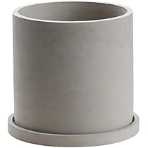 【soilboy】グレー 円筒形プランター 受け皿付 soilboy】グレー 円筒形プランター 受け皿付 plants__here sprout x
