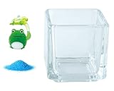 花市場直送便 ミニチュアガラス 丸型カエル蓮の葉 & カラーサンド ブルー & 植え込み用グラス ニューブロックS