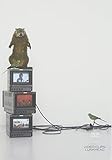 VIDEO CLIPS