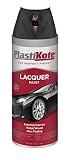 PlastiKote T-34 Gloss Black Lacquer Paint - 12 Oz. [並行輸入品]