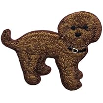 41jeLf1dzPL._AC_UL210_SR210,