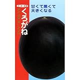 スイカ 種 【 くろがね 】 種子 小袋（約8粒）