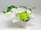 光触媒 胡蝶蘭造花アレンジ 日本アレンジ  (ホワイト)