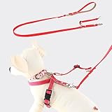 ワンダーフィット すっぽ抜け防止 ダブルリード 小型犬用 中型犬用 犬 二重 軽量 犬の首輪屋てるべる (カーキ)