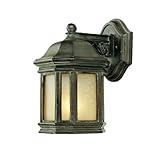 Alico Lighting 300MM Acclaim Lighting Marbleized Mahogany Finished Outdoor Sconce with Florentine Sc