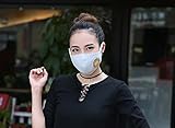 Miyare 洗える 繰り返し使える 立体タイプマスク PM2.5対応可能 コットン100％ 5枚セット