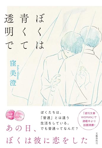 窪美澄:ぼくは青くて透明で