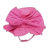 JamieRaeHats SH-PP-PPBRM 12m-2Y