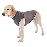 インセクトシールド DoggLes虫よけTシャツ L グレー HIK57273