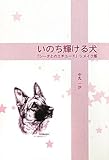 いのち輝ける犬